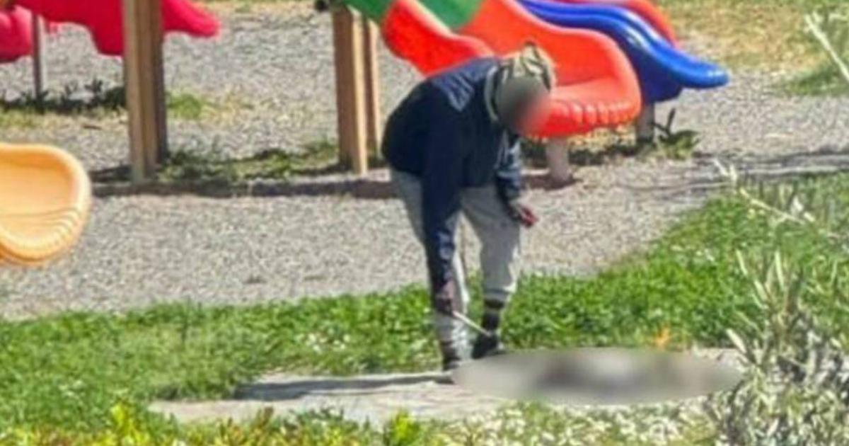 Nigerian Man Arrested in Italy for Cooking Cat at Playground