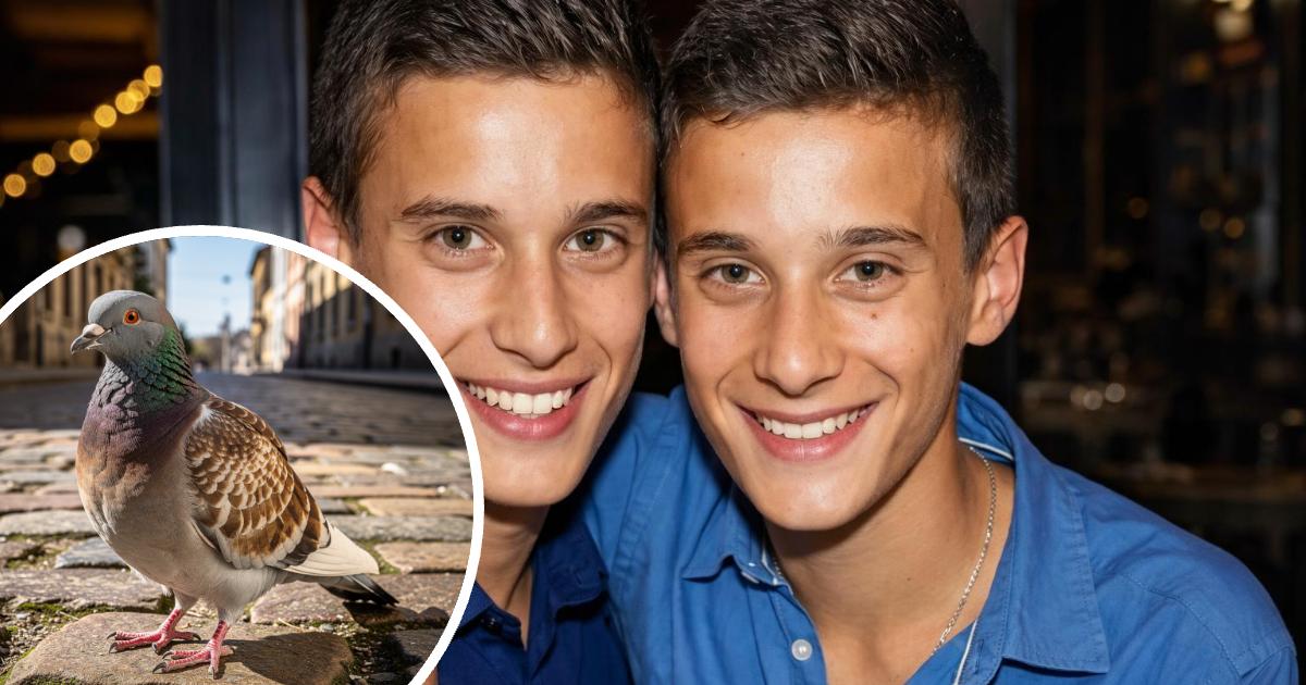 Twin Brothers Died Embracing After One Tried to Save the Other