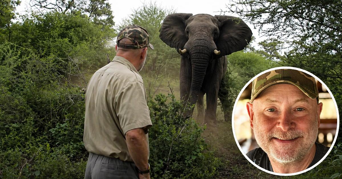 Safari Guide Killed by Elephant After Vowing Never to Shoot One